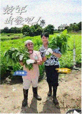 条目字段规范更新资讯配图
